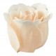 Coffret de 12 roses en feuilles de savon blanches et nude - Parfum Rose
