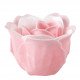 Caixa de 12 rosas em folhas de sabão rosa e brancas - Perfume Rosa