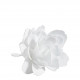 Flor de Banho Peónia