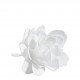 Peony Shower Flower