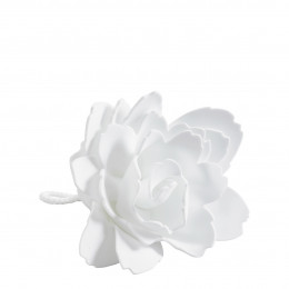 Peony Shower Flower