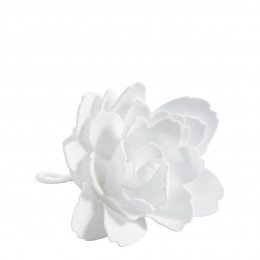 Peony Shower Flower