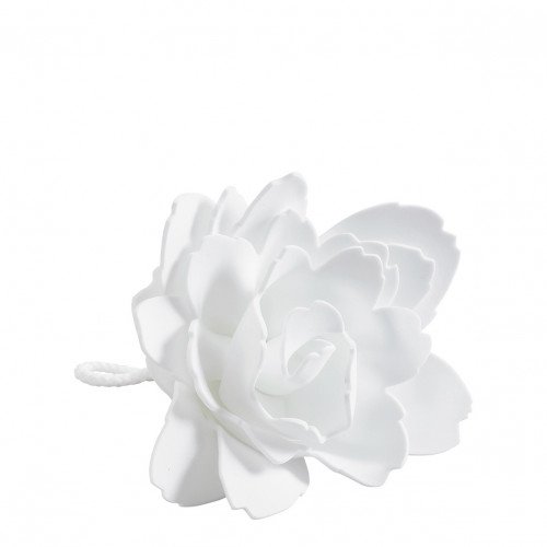 Flor de Banho Peónia