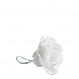 Fleur de douche visage Rose