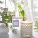 Home fragrance diffuser Carnets d'Artistes 200 ml - Sublime Jasmin