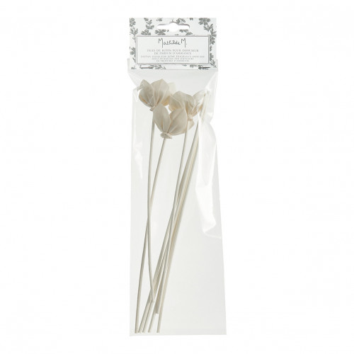 Sachet of 3 Flower stems and 4 rattan stems 25 cm