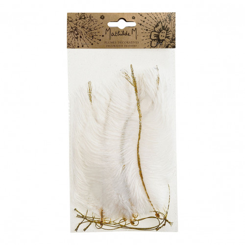 Set of 6 decorative hanging feathers