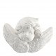 Pinheiro Surpresas perfumadas Festas Encantadas - Nuit d'Ambre