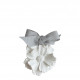 Décor parfumé Fleur - Fleur de Coton