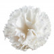 Bola de sabonete Cravinho perfumado branco - Perfume Rosa