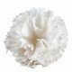 Bola de sabonete Cravinho perfumado branco - Perfume Rosa