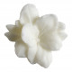 Conjunto de 3 decorações derretíveis em cera perfumada - Flor de Algodão