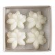 Boîte de 4 décors fondants Jasmin en cire parfumée - Sublime Jasmin