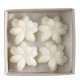 Boîte de 4 décors fondants Jasmin en cire parfumée - Sublime Jasmin