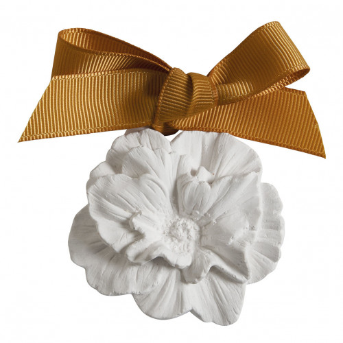 Cofre de 5 decoraciones perfumadas - Fleur d'Oranger