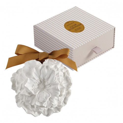 Gran flor perfumada - Fleur d'Oranger