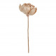Ramo de 3 decorações vegetais secas - Rosa envelhecido