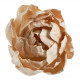 Bouquet de 3 décorations végétales séchées - Vieux rose