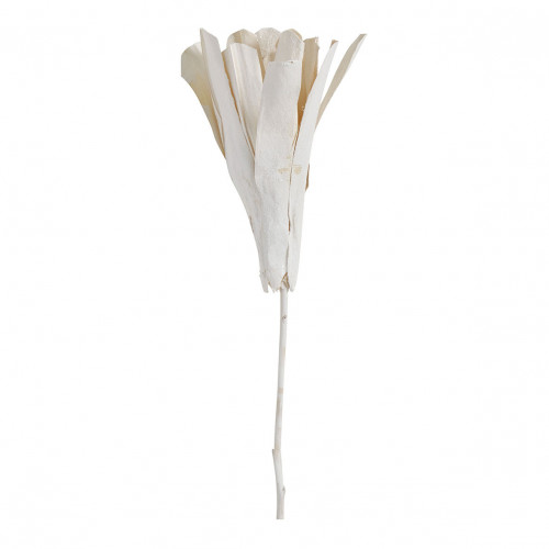 Ramo de 3 decoraciones vegetales secas - Blanco con purpurina