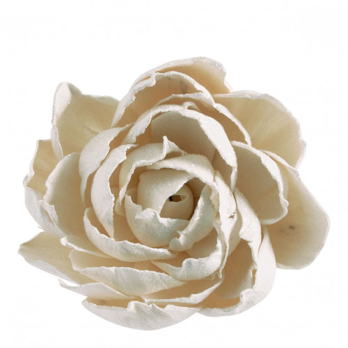 Ramo de 3 decoraciones vegetales secas - Blanco con purpurina