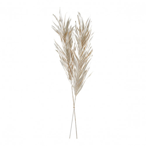 Dried Plant Decoration - Glittery White