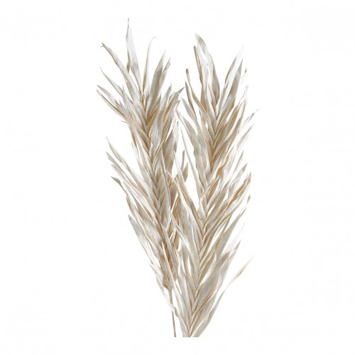Dried Plant Decoration - Glittery White Dried Plant Decoration - Glittery White