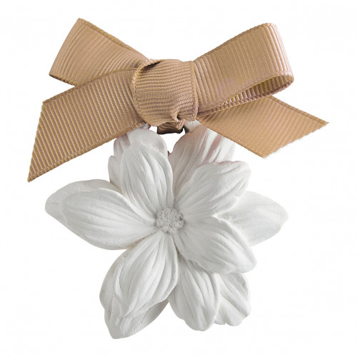 Estuche de 5 decoraciones perfumadas - Sublime Jasmin