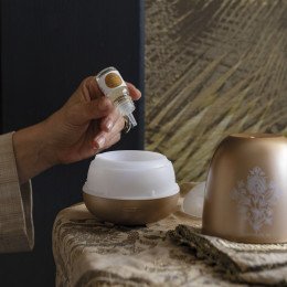 Surconcentré de parfum d'ambiance Les Intemporelles 10 ml - Sublime Jasmin
