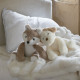 Peluche Renard brun