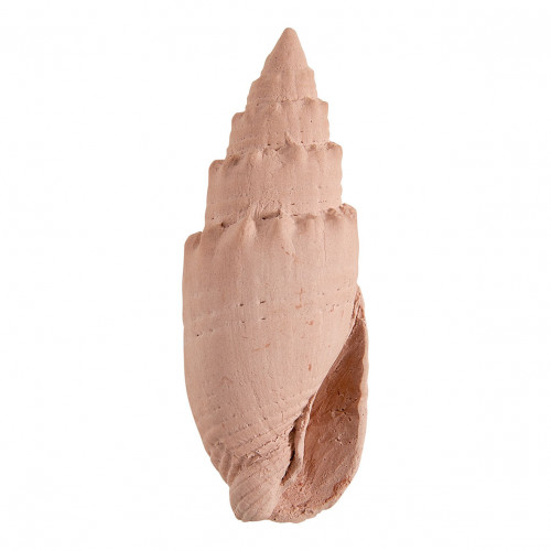 Room fragrance gift tote bag 30 ml and scented decorations Bain de Soleil - Néroli Paradis