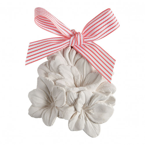 Discovery Set Les Intemporelles en Fleurs - Fruits des Bois