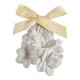 Conjunto de descoberta Les Intemporelles en Fleurs - Flor de Laranjeira