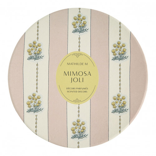 Coffret de 5 décors parfumés - Mimosa Joli Coffret de 5 décors parfumés - Mimosa Joli