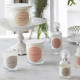 Les Intemporelles Scented Candle 65 g - Fruits des Bois