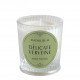 Vela perfumada Les Intemporelles 65 g - Delicada Verbena