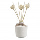 Petite Indienne Home Fragrance Diffuser 200 ml - Rose Élixir