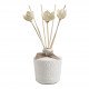 Petite Indienne Room Fragrance Diffuser 200 ml - Fleur d'Oranger