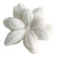 Box of 4 Jasmine scented wax melting decorations - Sublime Jasmin