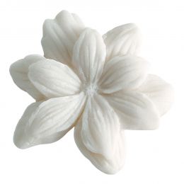 Boîte de 4 décors fondants Jasmin en cire parfumée - Sublime Jasmin