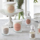 Les Intemporelles Scented Candle 65 g - Bois de Cachemire