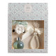 Pearly Festival Home Fragrance Diffuser Set - Frosted Fir