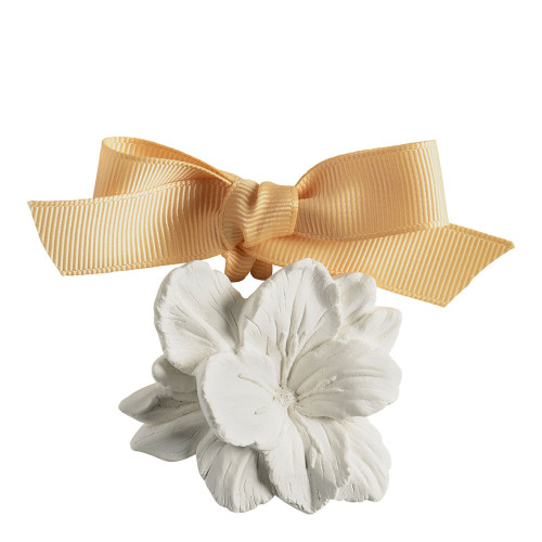 Estuche de 5 decoraciones perfumadas - Douceur d'Ambre