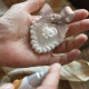 Unscented Boutis Heart Decoration