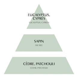Parfum d'ambiance Fête Nacrée 90 ml - Sapin Givré