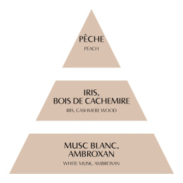 Surconcentré de parfum d'ambiance Les Intemporelles 10 ml - Bois de Cachemire