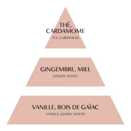 Concentré de parfum d'ambiance Fête Nacrée 4 ml - Thé de Fête