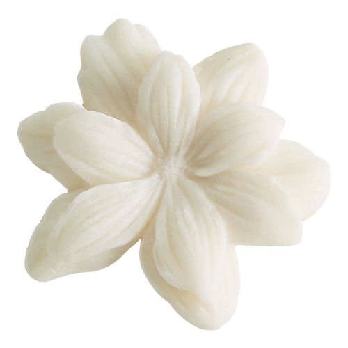 Set of 4 scented wax melts - Kashmir Wood Set of 4 scented wax melts - Kashmir Wood