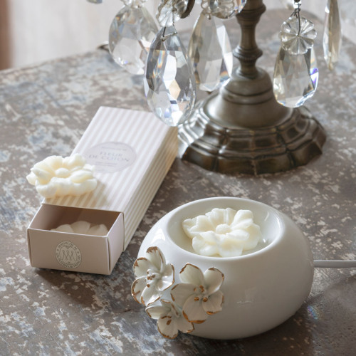 Coffret de 3 décors fondants en cire parfumée - Douceur d'Ambre