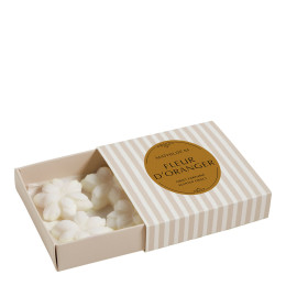 Cofanetto di 4 décors fondants in cera profumata - Fleur d'Oranger