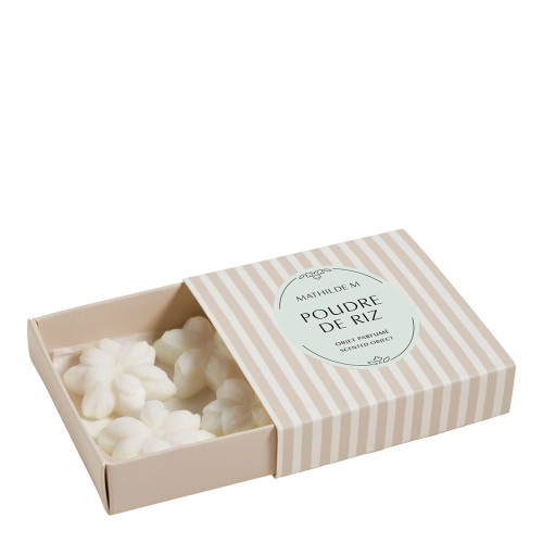 Set of 4 Scented Wax Melting Decorations - Poudre de Riz